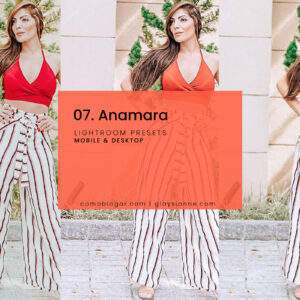 07. Anamara Blogger Presets