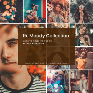 15. Moody Collection