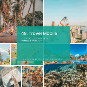 48. Travel Mobile