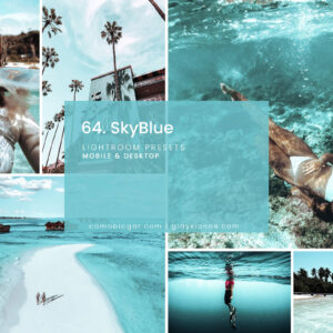 64. SkyBlue