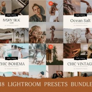 18 TOP Chic Presets Bundle