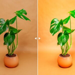 30 Product Photography Lightroom Presets 7