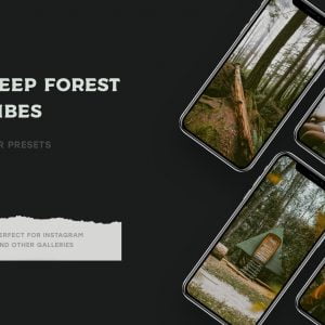 4 Forest Tales Lightroom Presets 1