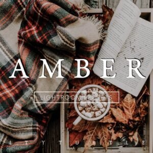 AMBER Moody Fall Lightroom Presets