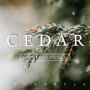 CEDAR Subtle Moody Lightroom Presets