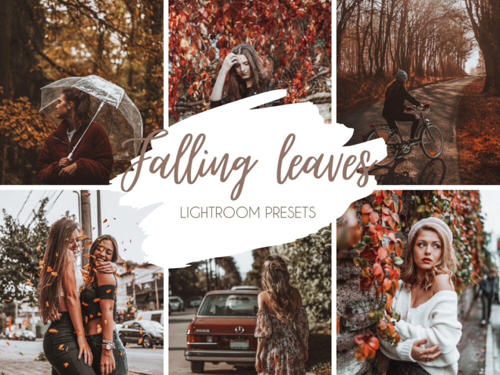 Falling Leaves Mobile Desktop Lightroom Presets