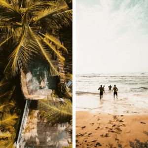 Jungle Blogger Presets Collection 6