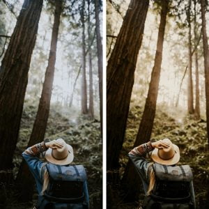 Jungle Presets Minimal Brown Collection 1