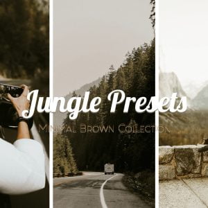 Jungle Presets Minimal Brown Collection