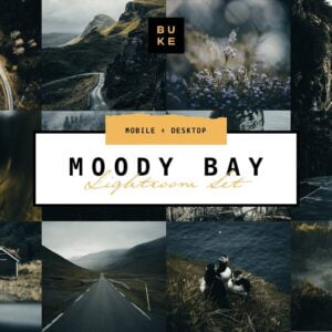 Moody Bay Pro Lightroom Presets