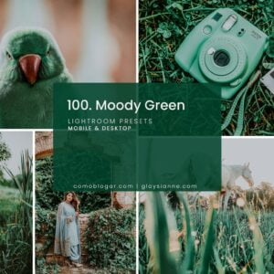 Moody Green Lightroom and Photoshop Preset