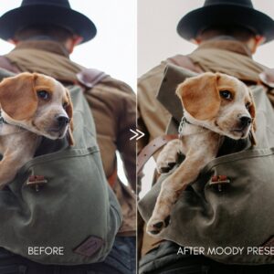 Moody Pet Photography Kit Presets 6