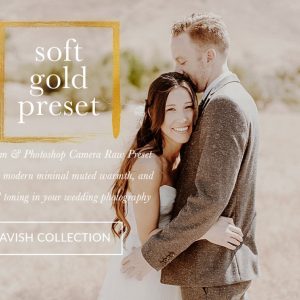 Soft Gold Wedding Presets